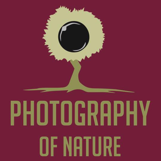 Photography-of-nature